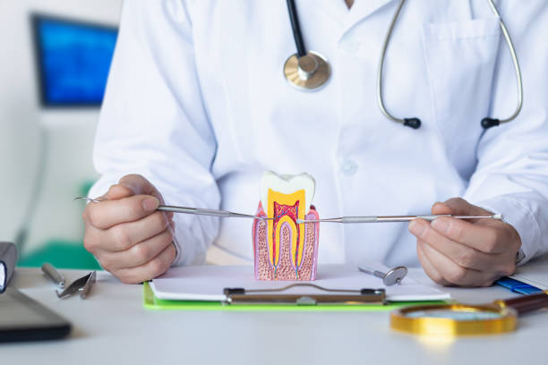 Best Emergency Dentist for Lost Fillings or Crowns in Bear Creek, FL